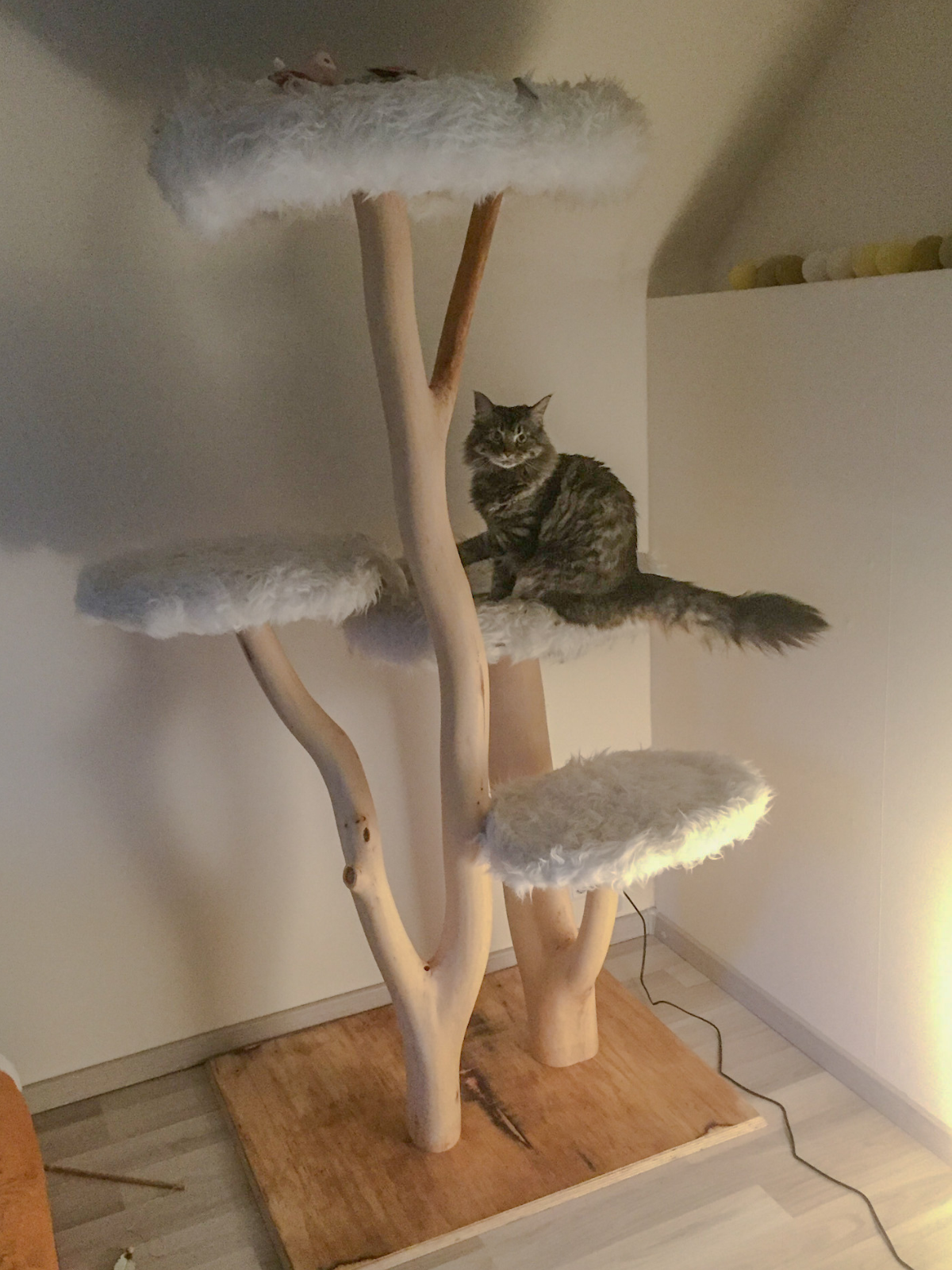Der erste Kratzbaum der Kratzbaumwerft