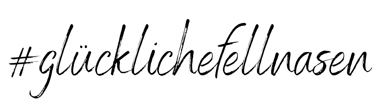 glückliche Fellnasen