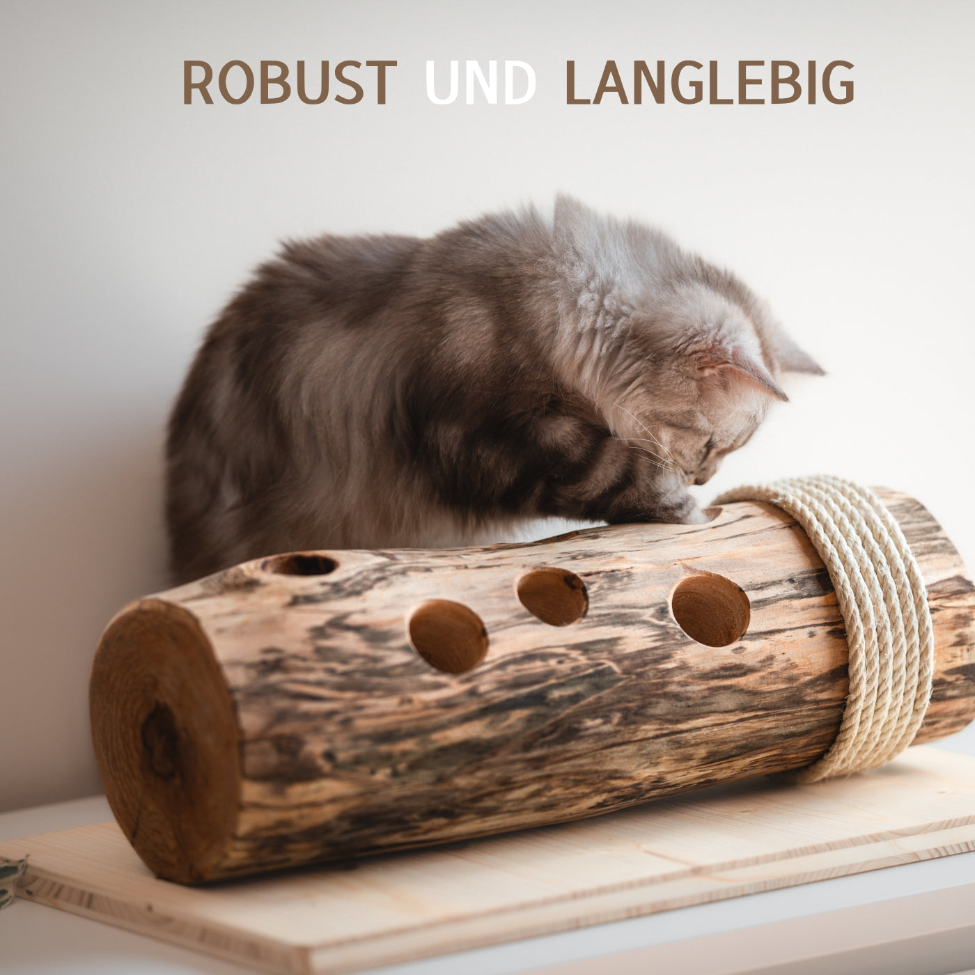 Eine Katze spielt mit dem Naturspielzeug der Kratzbaumwerft
