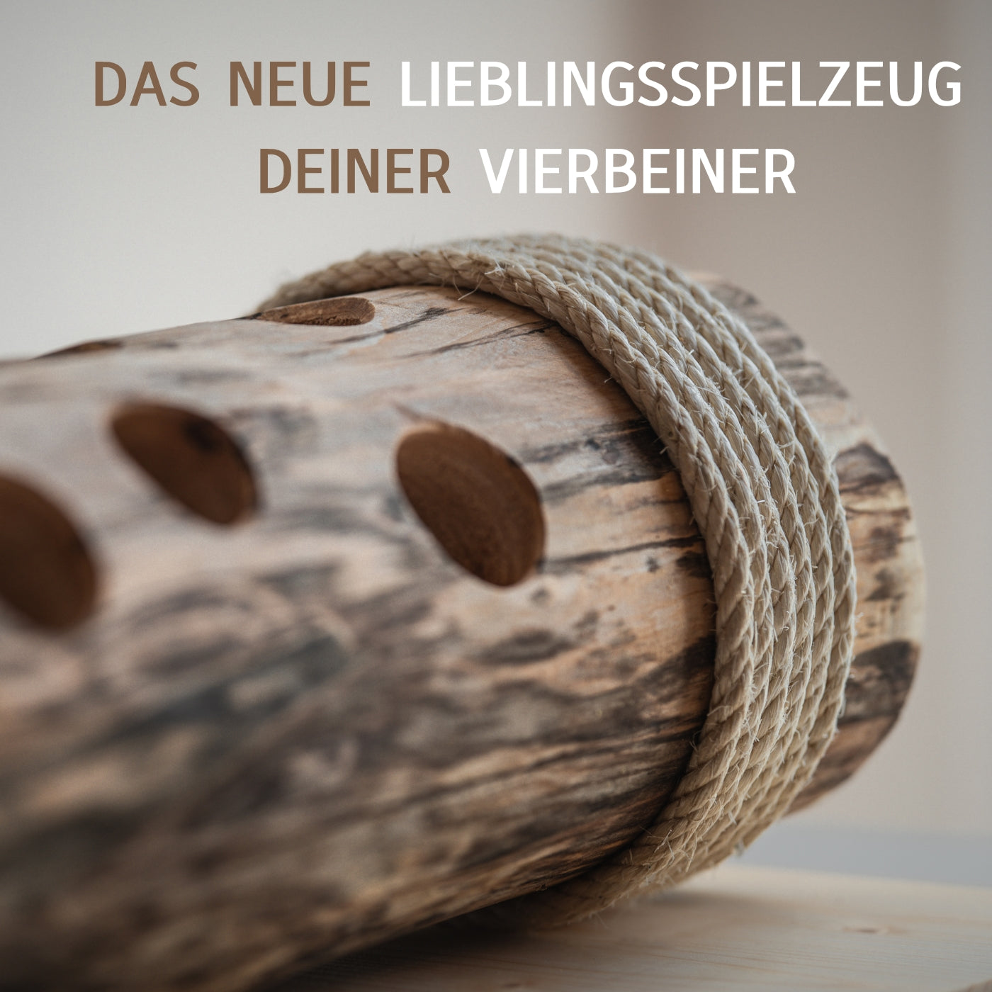 Das neue Lieblingsspielzeug deiner Vierbeiner
