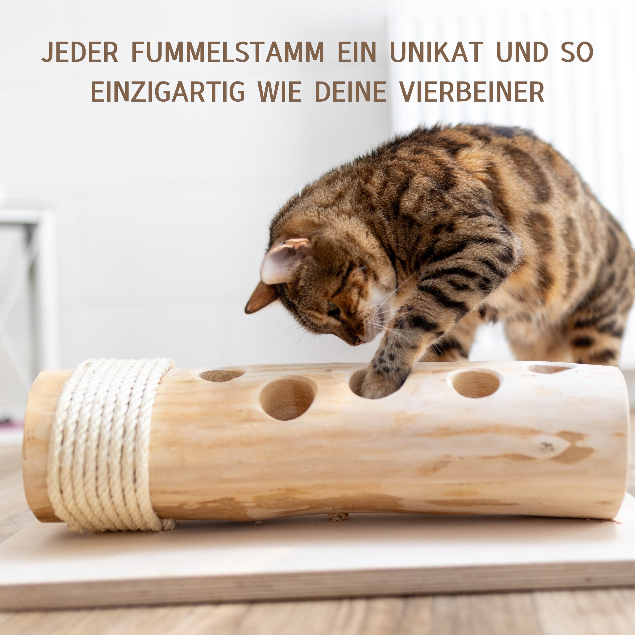 Jeder Fummelstamm ein Unikat und so einzigartig wie deine Vierbeiner