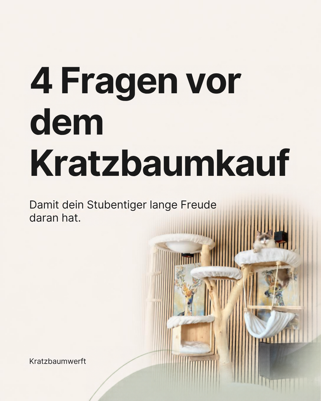 4 Fragen vor dem Kratzbaumkauf